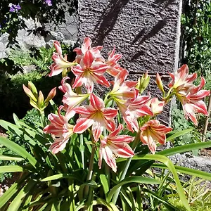 https://da-giulia.sicilyhotelsitaly.net